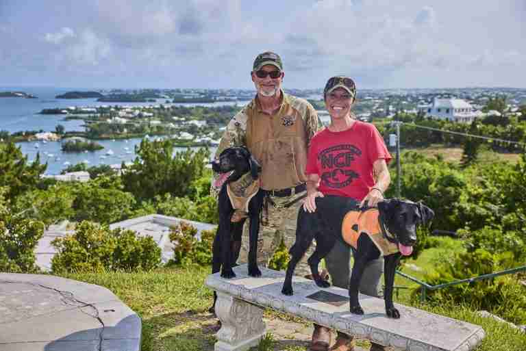 Dog team begins rattlesnake search