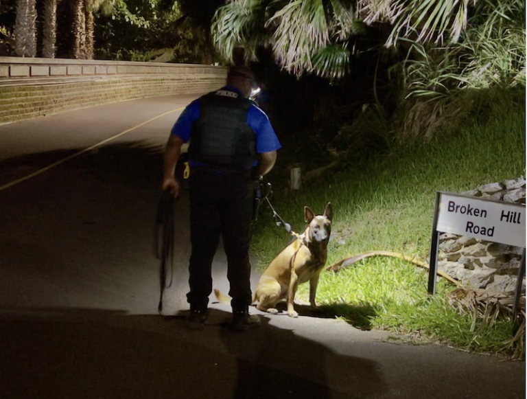 Multiple gunshots in Smith’s – no injuries reported