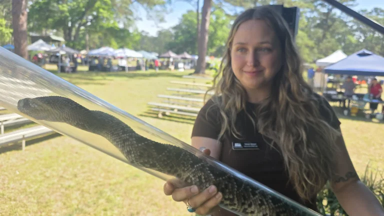 How to stay safe around a snake…