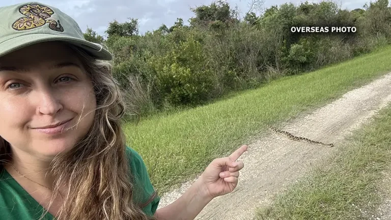 Expert says snake knows how to stay hidden