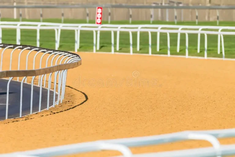 Crews shines at Tryon: Bermudian equestrian stars in North Carolina