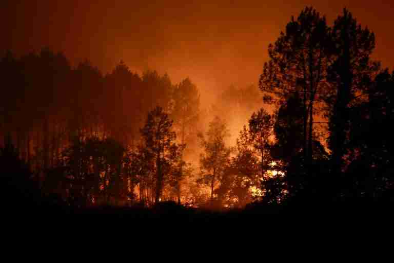 France evacuates 525 as new wildfire hits pine woods in the southwest