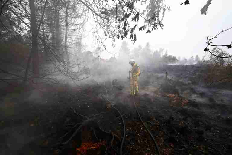 Rain aids fight against Belgium’s biggest wildfire, as blazes rip through Europe