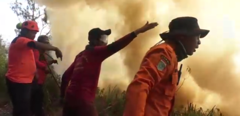 Fire destroys at least 60 hectares at Indonesia’s Mount Bromo park, agency says