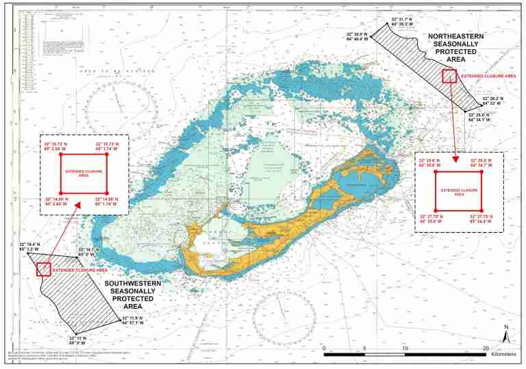 Fishing of groupers remains prohibited in certain zones