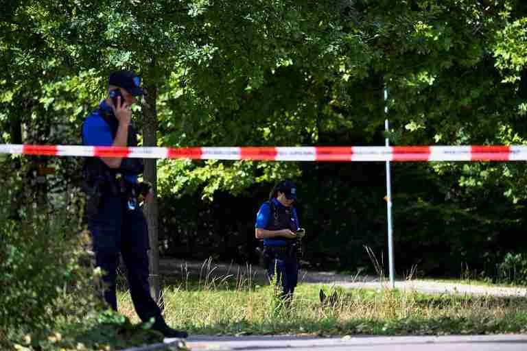Swiss rave shooting ‘lone perpetrator’ handed himself in to police