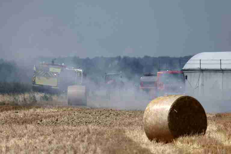 France gives farmers €1 billion to recover from record heatwaves