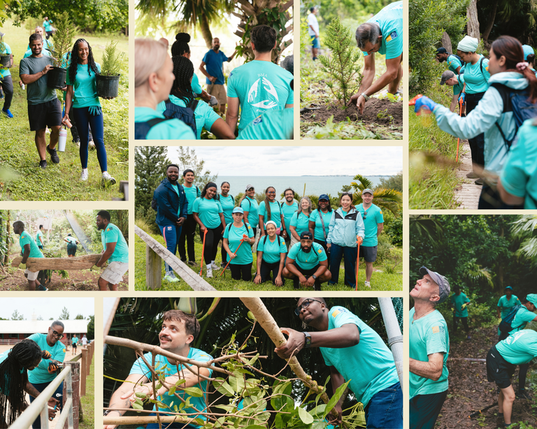 BMA highlights its annual community day