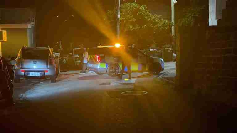 Police Respond to Reported Shooting on Curving Avenue