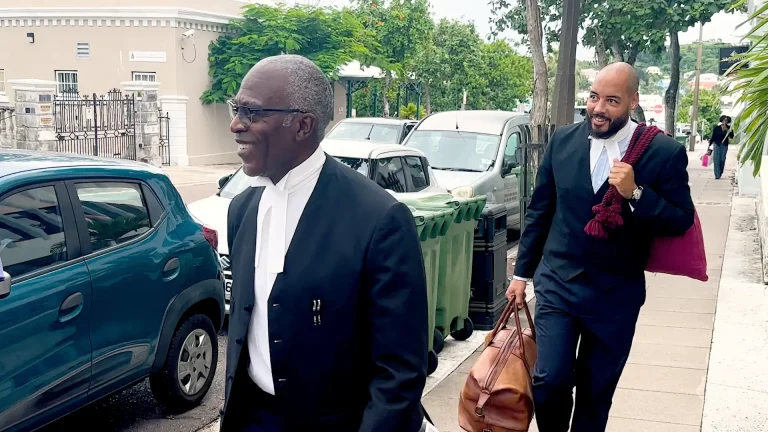 PLP in court: Plaintiffs seek to limit retrospective impact on members ‘rights’
